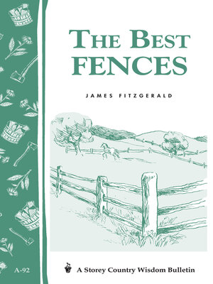 The Best Fences - ebook